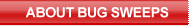 About Buggers What is debugging?